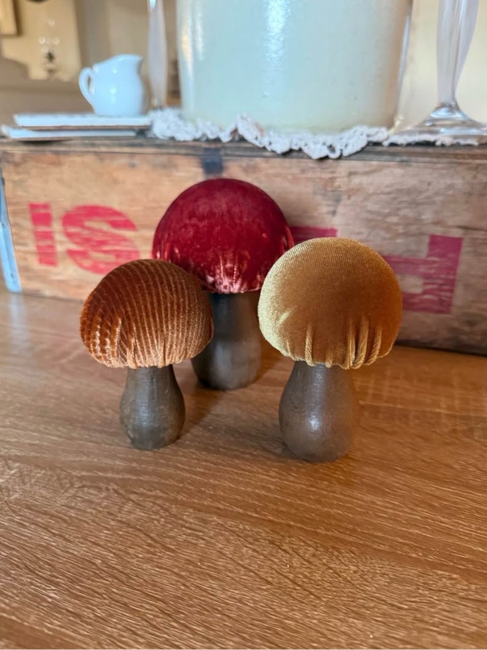Velvet Mushrooms